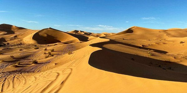 Le dune del Grand Erg | Avventure nel Mondo