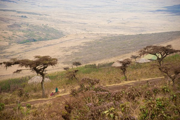 Il cratere di Ngorongoro | Avventure nel Mondo