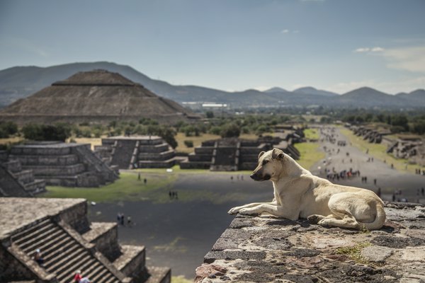 Teotihuacan piramidi del sole  e della luna | Avventure nel Mondo