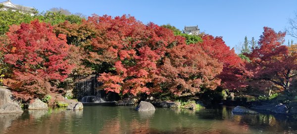 osaka_avventure_nel_mondo | Avventure nel Mondo