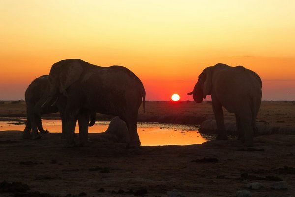 Chobe National Park | Avventure nel Mondo