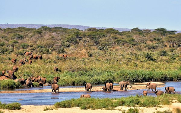 Addo Elephant National Park | Avventure nel Mondo
