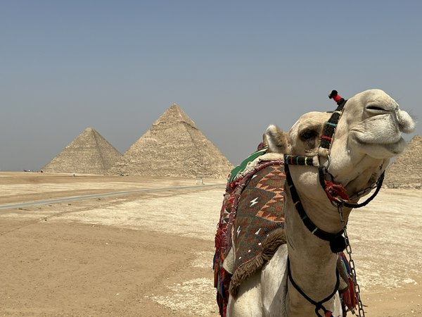 Piana di Giza | Avventure nel Mondo